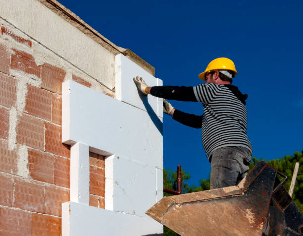 Best Wall Insulation Contractor  in Pierson, FL