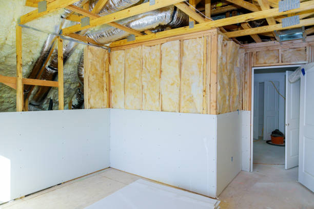Best Insulation for New Construction  in Pierson, FL